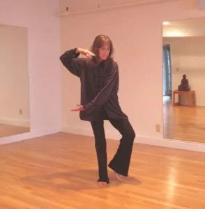a picture of a tai chi class as one of the services.
