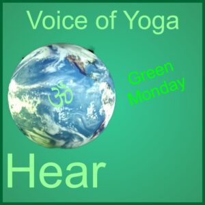 a poster for the radio show discussing Green 2016.