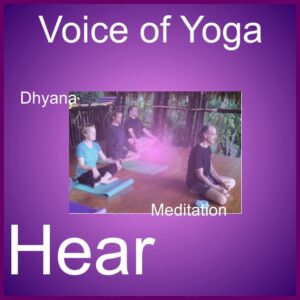 Dhyana 2017