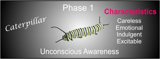 a picture to represent phase 1 in human development.