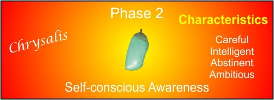 a picture to represent phase 2 in human developmental process.