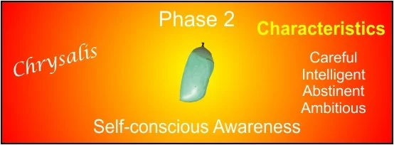 Phase 2 a picture to represent phase 2 in human developmental process.