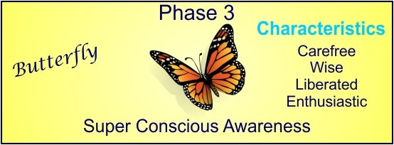 a picture to represent phase 3 in human developmental process.