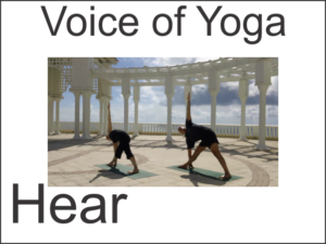 Asana One is a poster for the radio talk show on Kriya Yoga Asana Program Revision One. Also used for TT1 Exam product page.