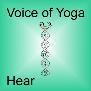 A poster for the podcast titled Exactly What is Good Health.