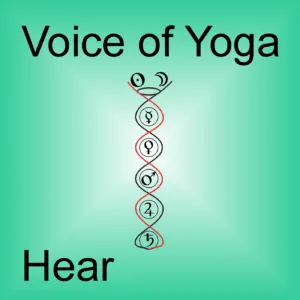 A poster for the podcast titled Exactly What is Good Health.