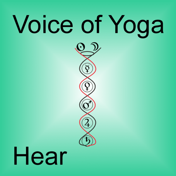 A poster for the podcast titled Exactly What is Good Health.