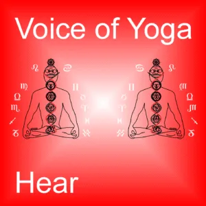 A poster for the radio talk show titled Reflecting the Divine Image.