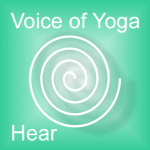 A poster for the podcast titled Assement for Inspiration and Aspiration.