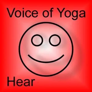 A poster for the podcast titled Validate Happily Ever After.