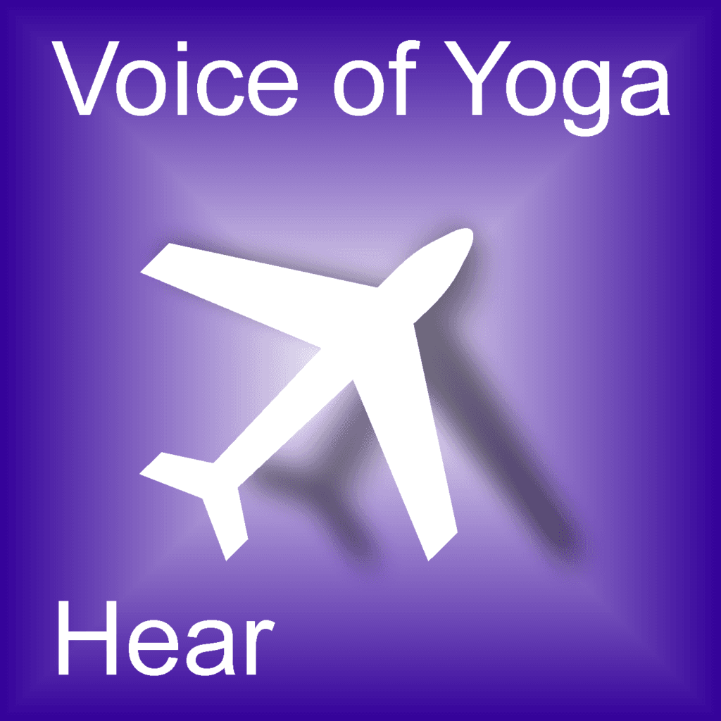 A poster for the podcast titled We are All Pilots.