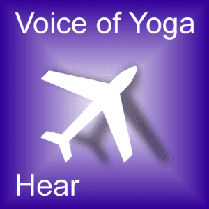 A poster for the podcast titled We are All Pilots.