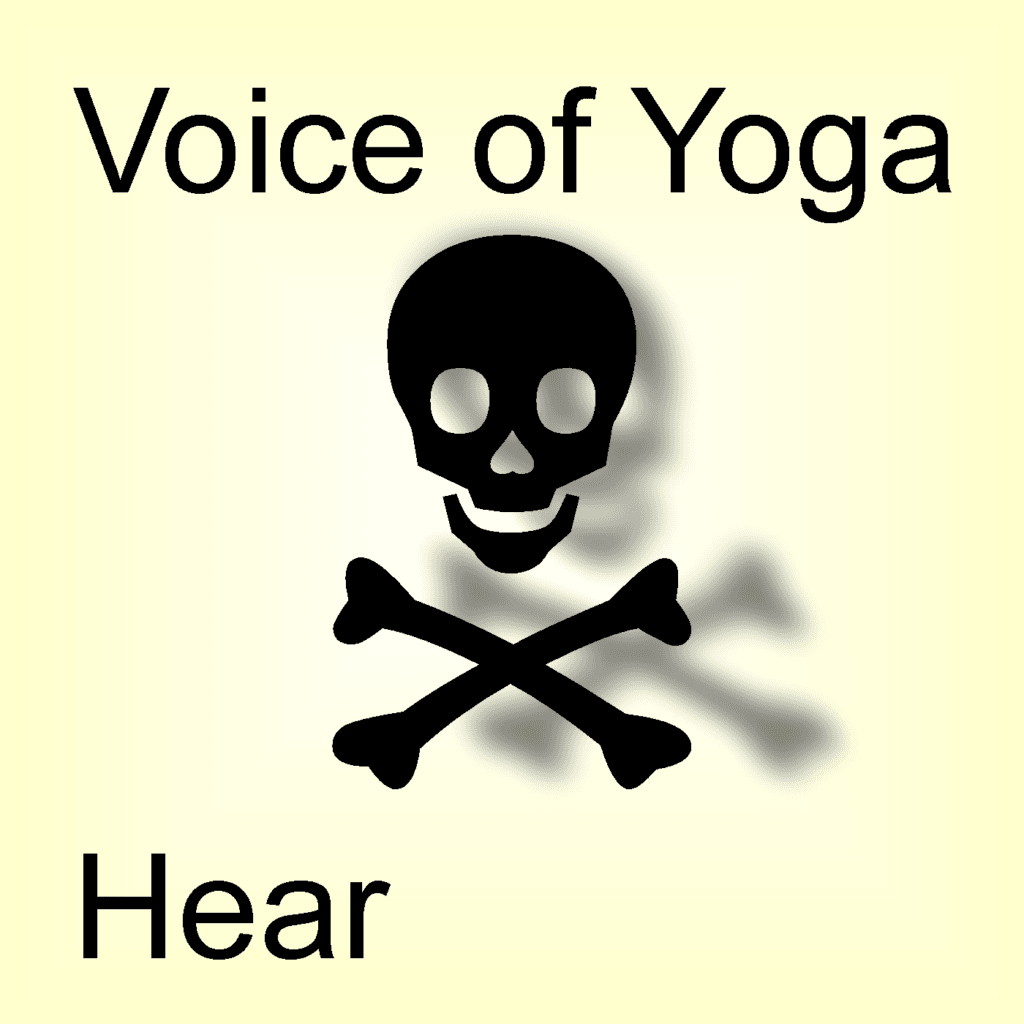 A poster for the podcast titled Imitation of Life Without Deity.