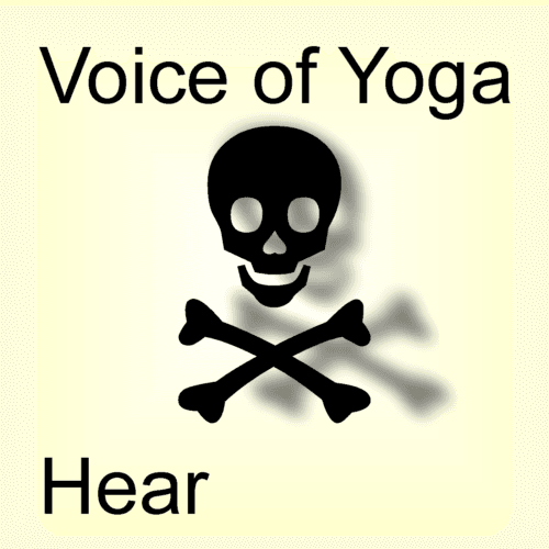 A poster for the podcast titled Imitation of Life Without Deity.