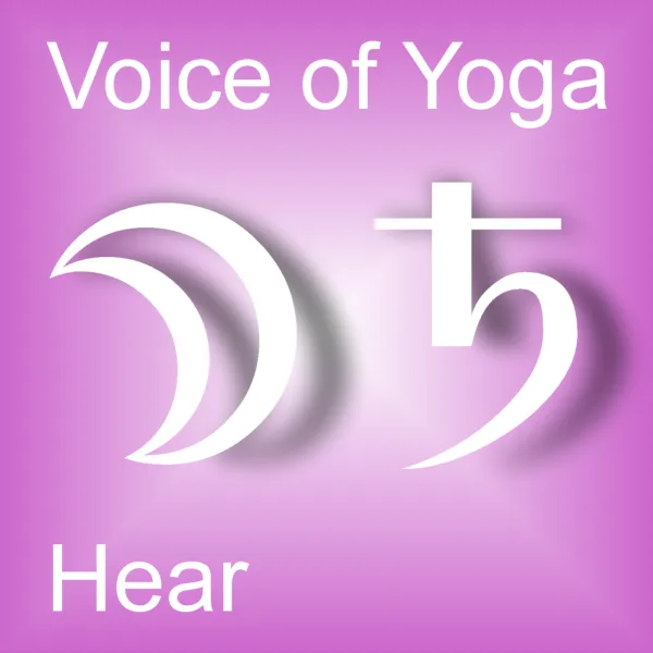 A poster for the podcast titled The Purpose of the Corporeal Senses