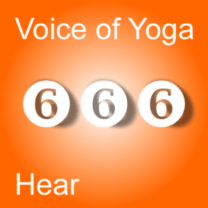 A poster for the podcast titled Spinning Off into Human Brilliance.