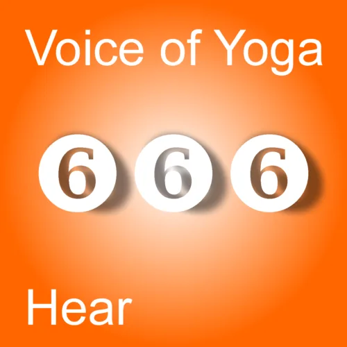 A poster for the podcast titled Spinning Off into Human Brilliance.